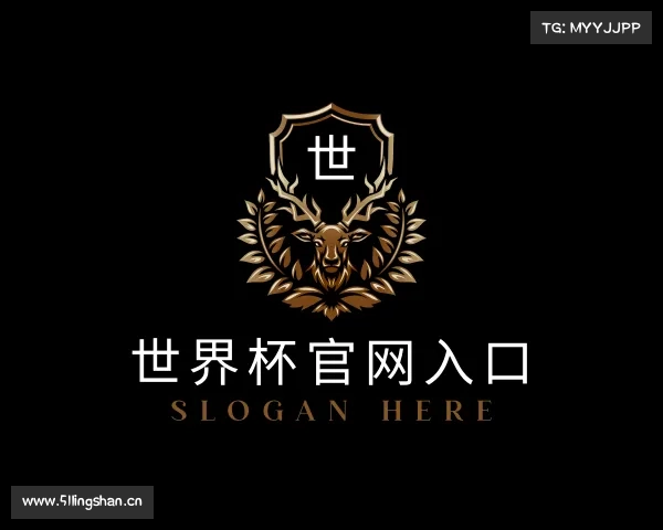 解读世界杯官网入口